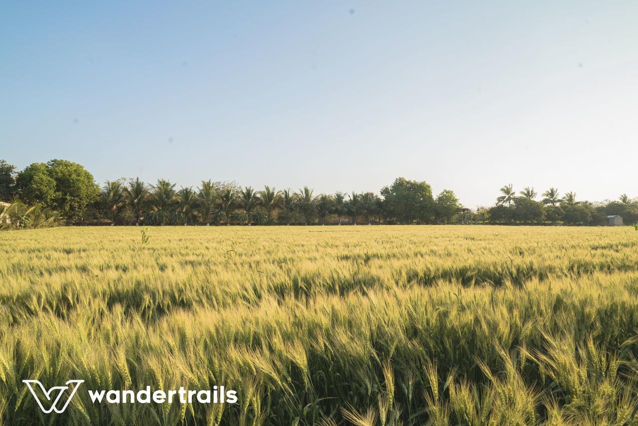 Lookout Villa - A Wandertrails Stay Sasan Gir Exterior foto